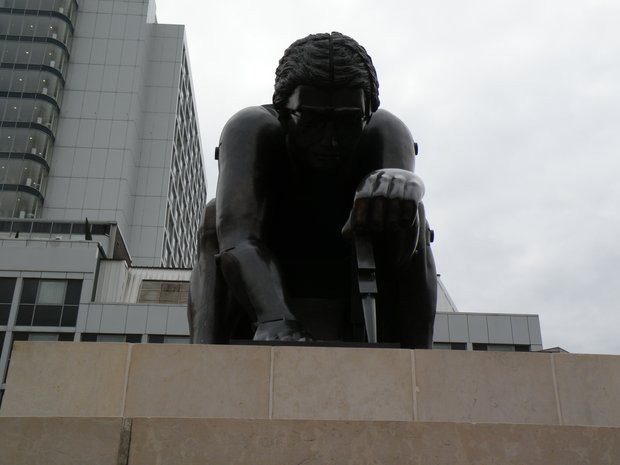  Newton